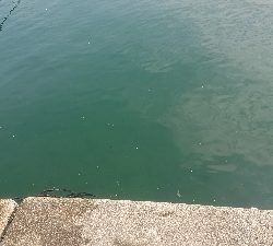 朝7時からの2時間