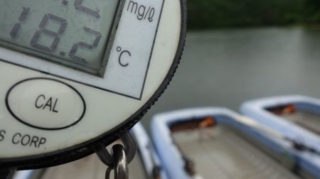 フィッシングレイクたかみや 釣果