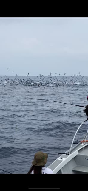 へいみつ丸 釣果
