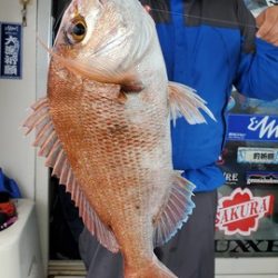 遊漁船 ニライカナイ 釣果