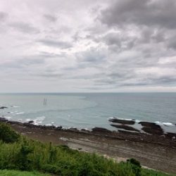 第五慶門丸 釣果