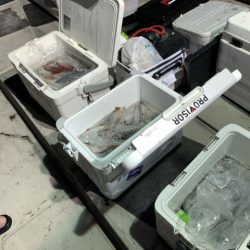 第八大安丸 釣果