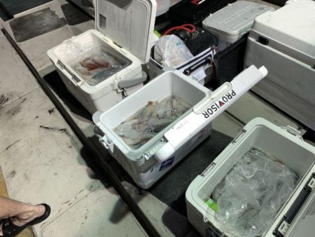 第八大安丸 釣果