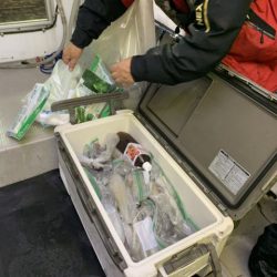 第八大安丸 釣果