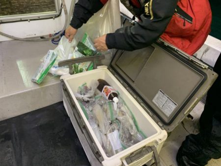 第八大安丸 釣果