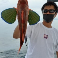 遊漁船 ニライカナイ 釣果