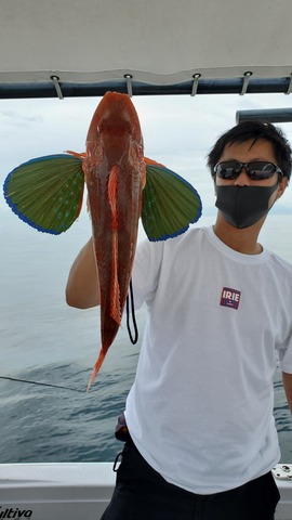 遊漁船 ニライカナイ 釣果