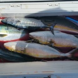 第五慶門丸 釣果