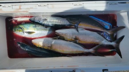 第五慶門丸 釣果