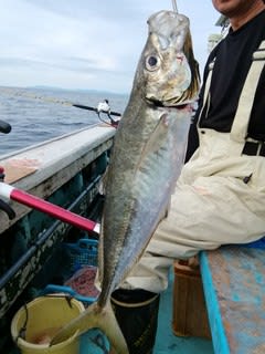 松福丸 釣果