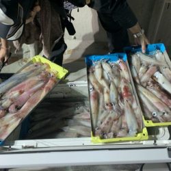 第八大安丸 釣果