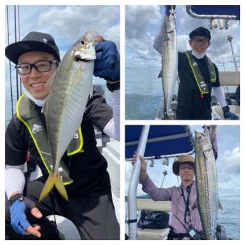 シーマジカル 釣果