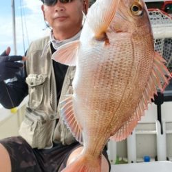 遊漁船 ニライカナイ 釣果