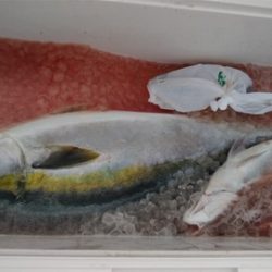 遊漁船 新鋭丸 釣果