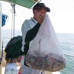 たかみ丸 釣果