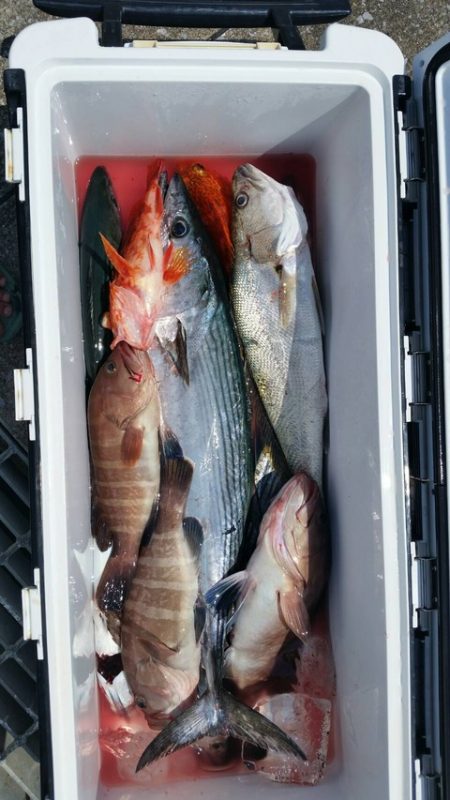 第五慶門丸 釣果