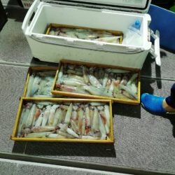 第二大福丸 釣果