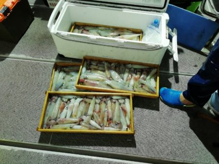 第二大福丸 釣果