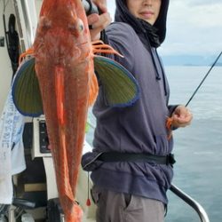 遊漁船 ニライカナイ 釣果