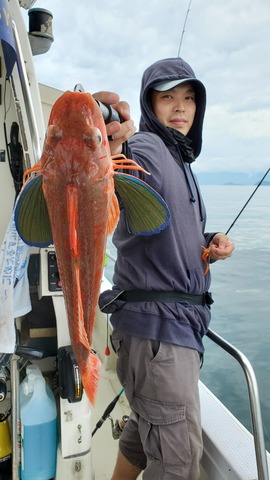 遊漁船 ニライカナイ 釣果