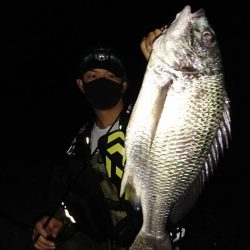 モニター製品の実力を感じたライトゲーム釣行【サンライン×ジャングルジム　インプレッション】