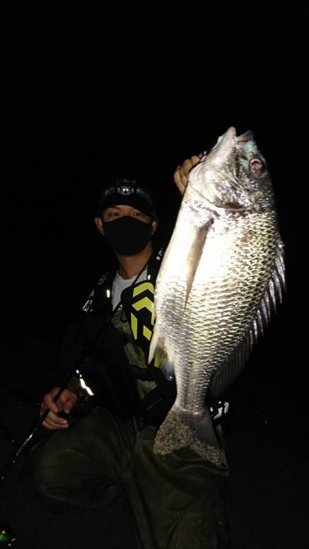 モニター製品の実力を感じたライトゲーム釣行【サンライン×ジャングルジム　インプレッション】