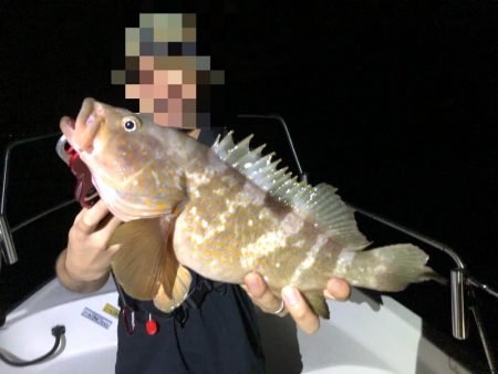 Magic(マジック) 釣果