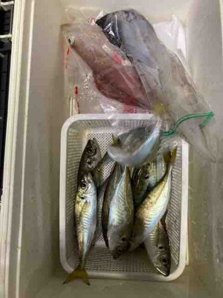 龍宮丸 釣果