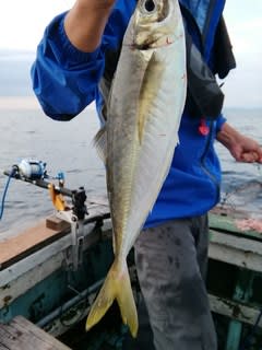 松福丸 釣果