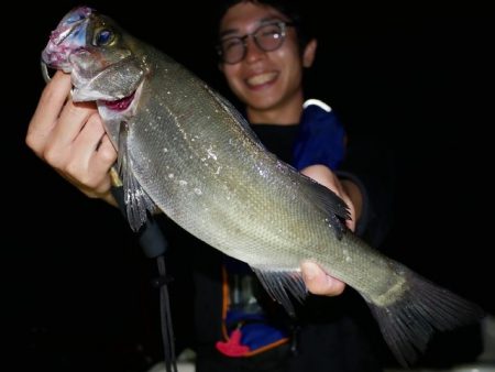 TOPGUN名古屋 釣果