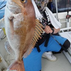 遊漁船 ニライカナイ 釣果