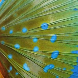 遊漁船 ニライカナイ 釣果