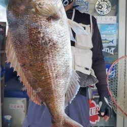 遊漁船 ニライカナイ 釣果