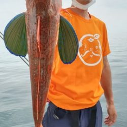 遊漁船 ニライカナイ 釣果