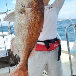 遊漁船 ニライカナイ 釣果