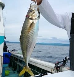 松福丸 釣果