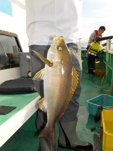 第二むつ漁丸 釣果