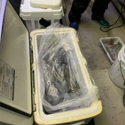 第八大安丸 釣果