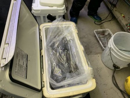 第八大安丸 釣果