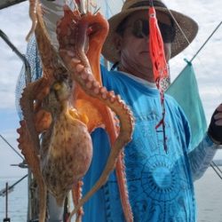 遊漁船　ニライカナイ 釣果