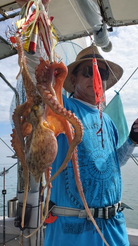 遊漁船　ニライカナイ 釣果