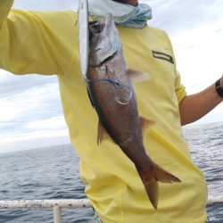 遊漁船 新鋭丸 釣果