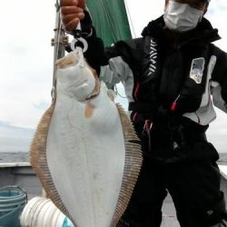 ファイヤードルフィン 釣果