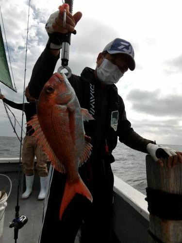 ファイヤードルフィン 釣果