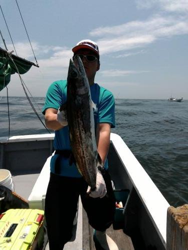 ファイヤードルフィン 釣果