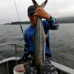 ファイヤードルフィン 釣果