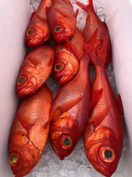 番匠高宮丸 釣果