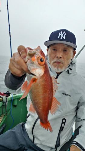 仁徳丸 釣果