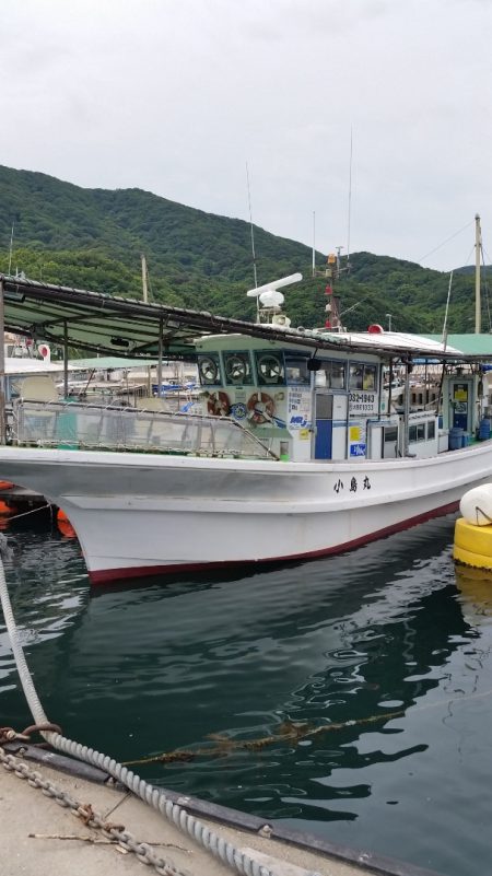 小島丸 釣果