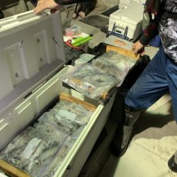 第八大安丸 釣果